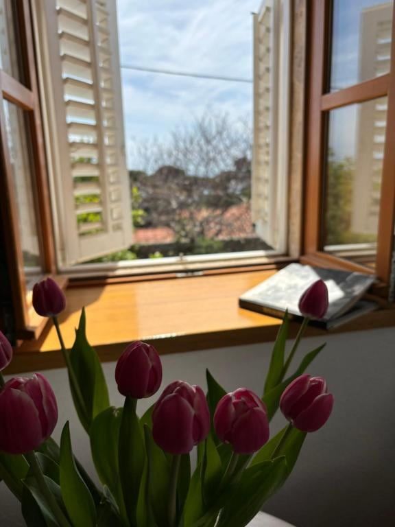 Open window with wooden shutters and tulips
