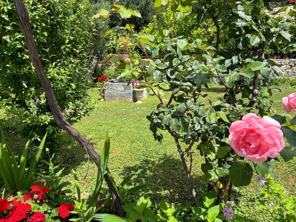 Roses and lawn in the garden of Villa Anica